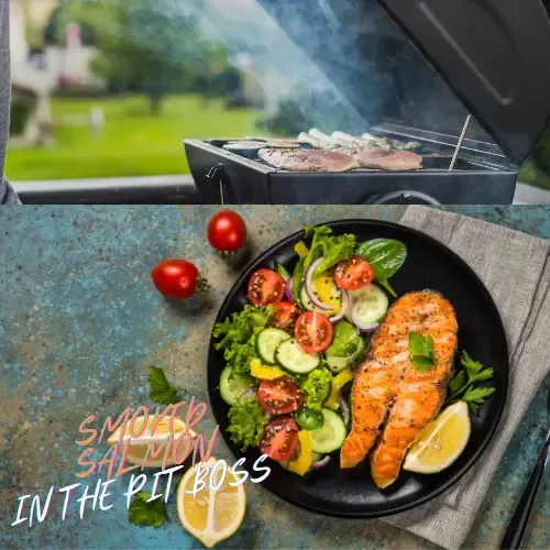 How to Smoke Salmon to Perfection in a Pit Boss Smoker BBQ Smoker