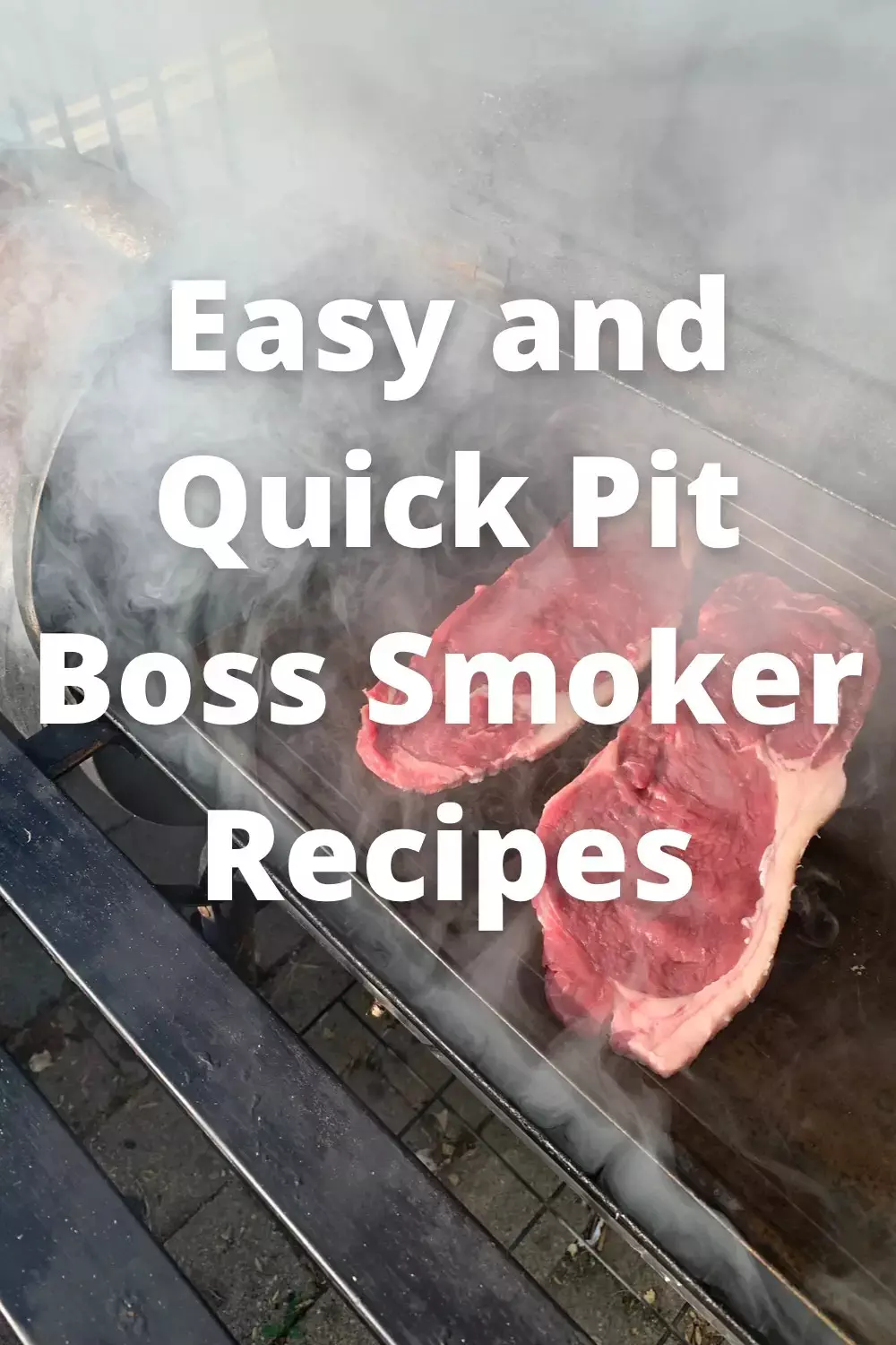 Easy and Quick Pit Boss Recipes