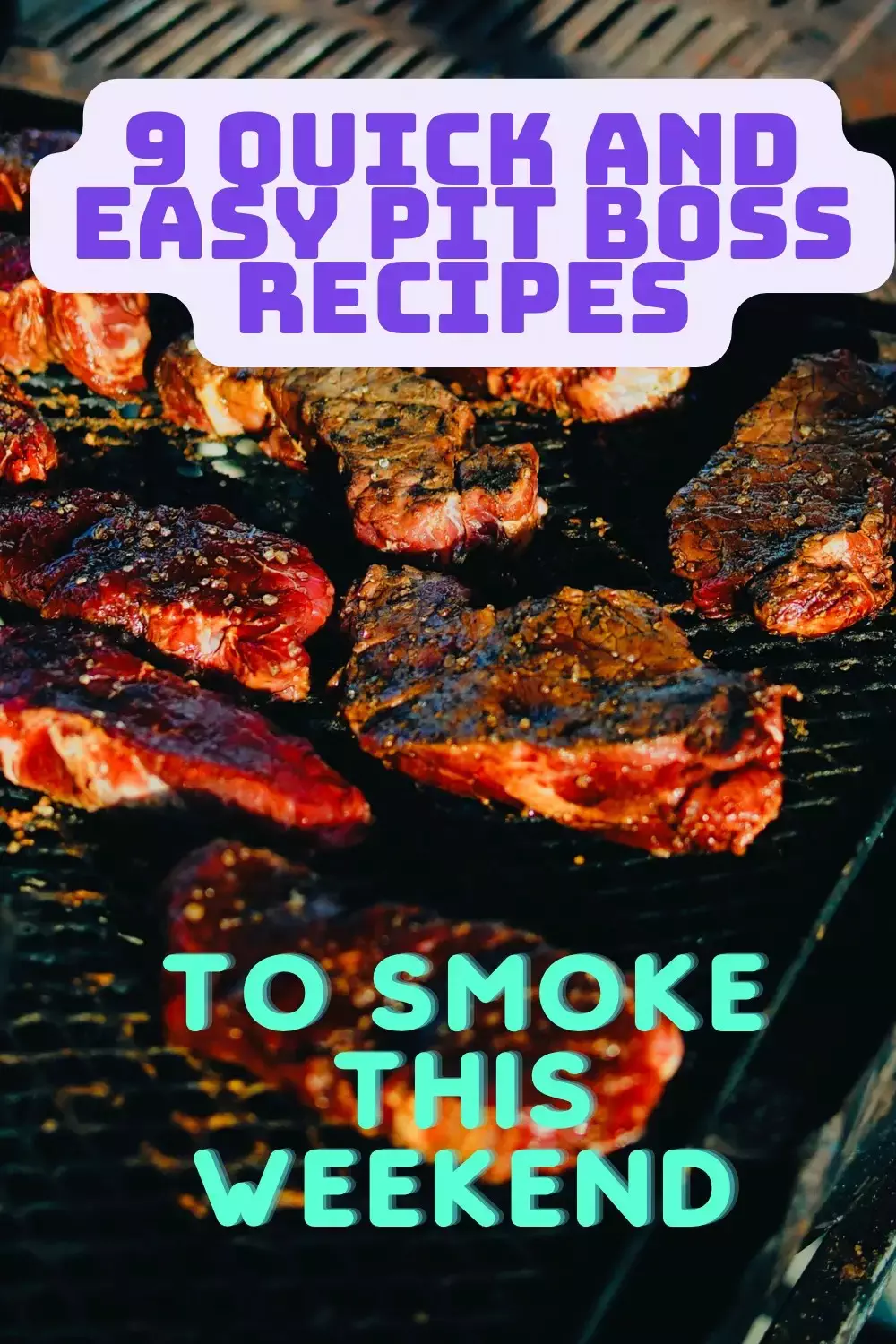 Easy Pit Boss Recipes For Beginners to Smoke this Weekend