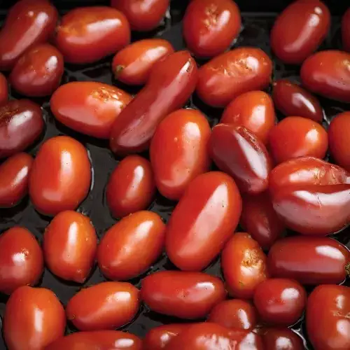 Smoked Tomatoes Recipe for the Pellet Grills