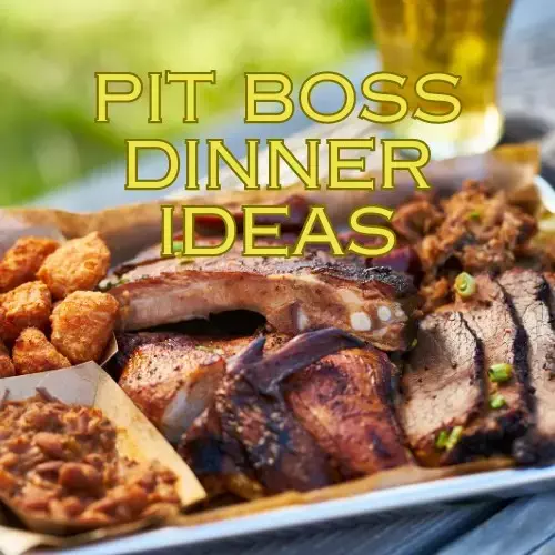 Pit Boss Dinner Ideas