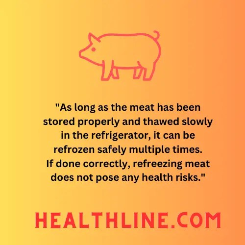 Healthline.com on 'Can You Refreeze Pork?'